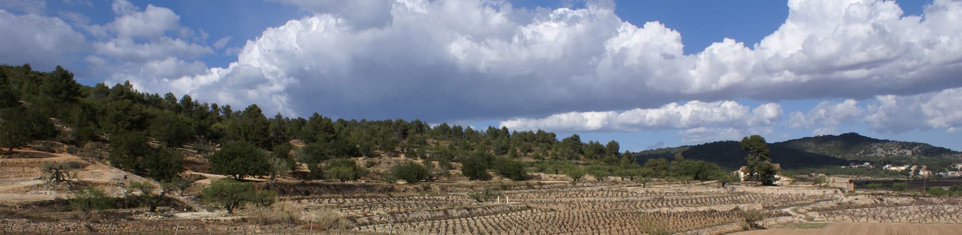 Penedés