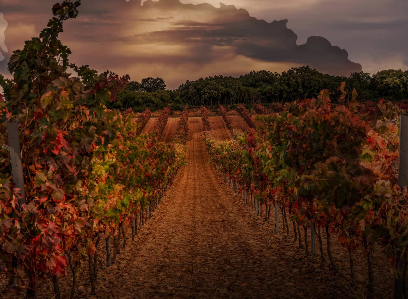 Rioja