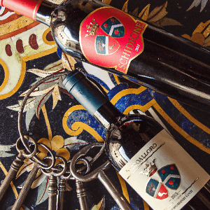 Vinhos pontuados de 90-94