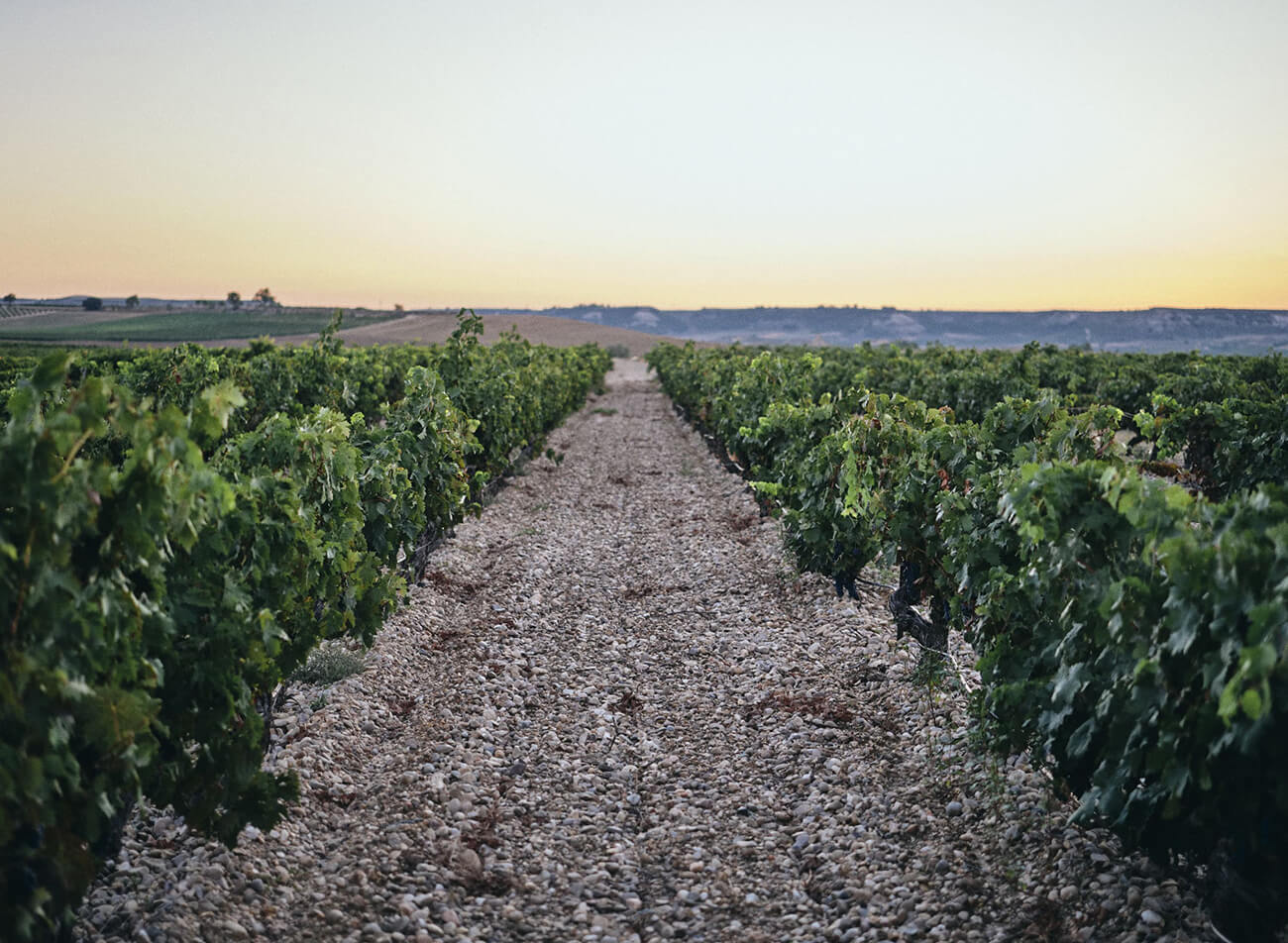 Família Fernández Rivera