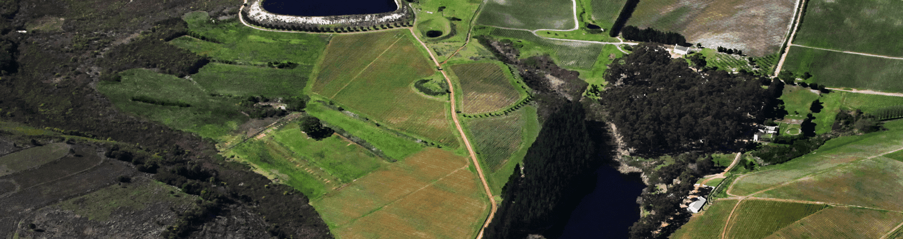 Ashbourne (Hamilton Russell)