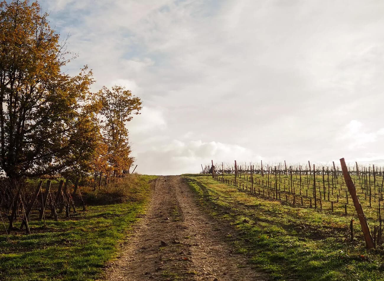 Domaines Barons De Rothschild