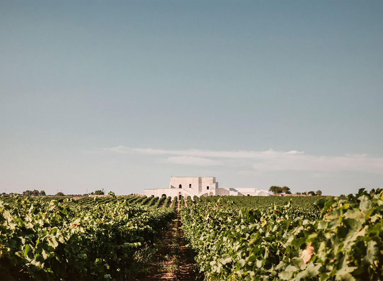Masseria Samia (San Marzano)