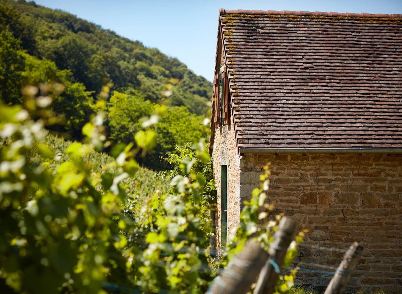 Domaine Rolet