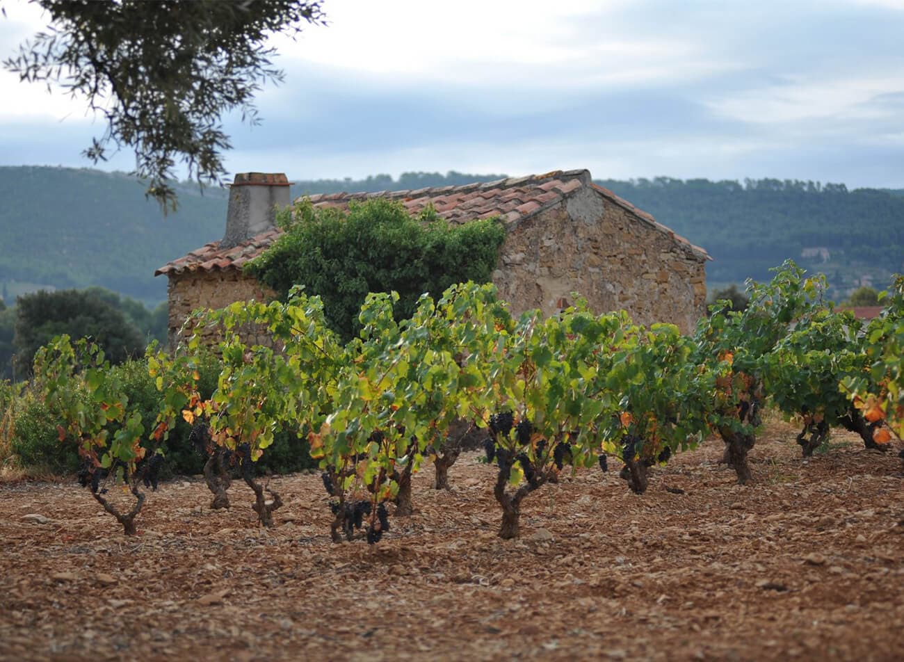 Château Vannières