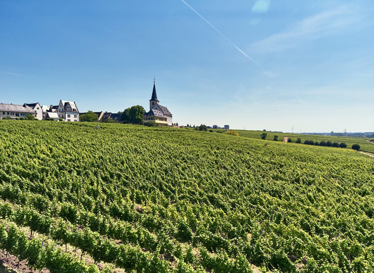 Domdechant Werner