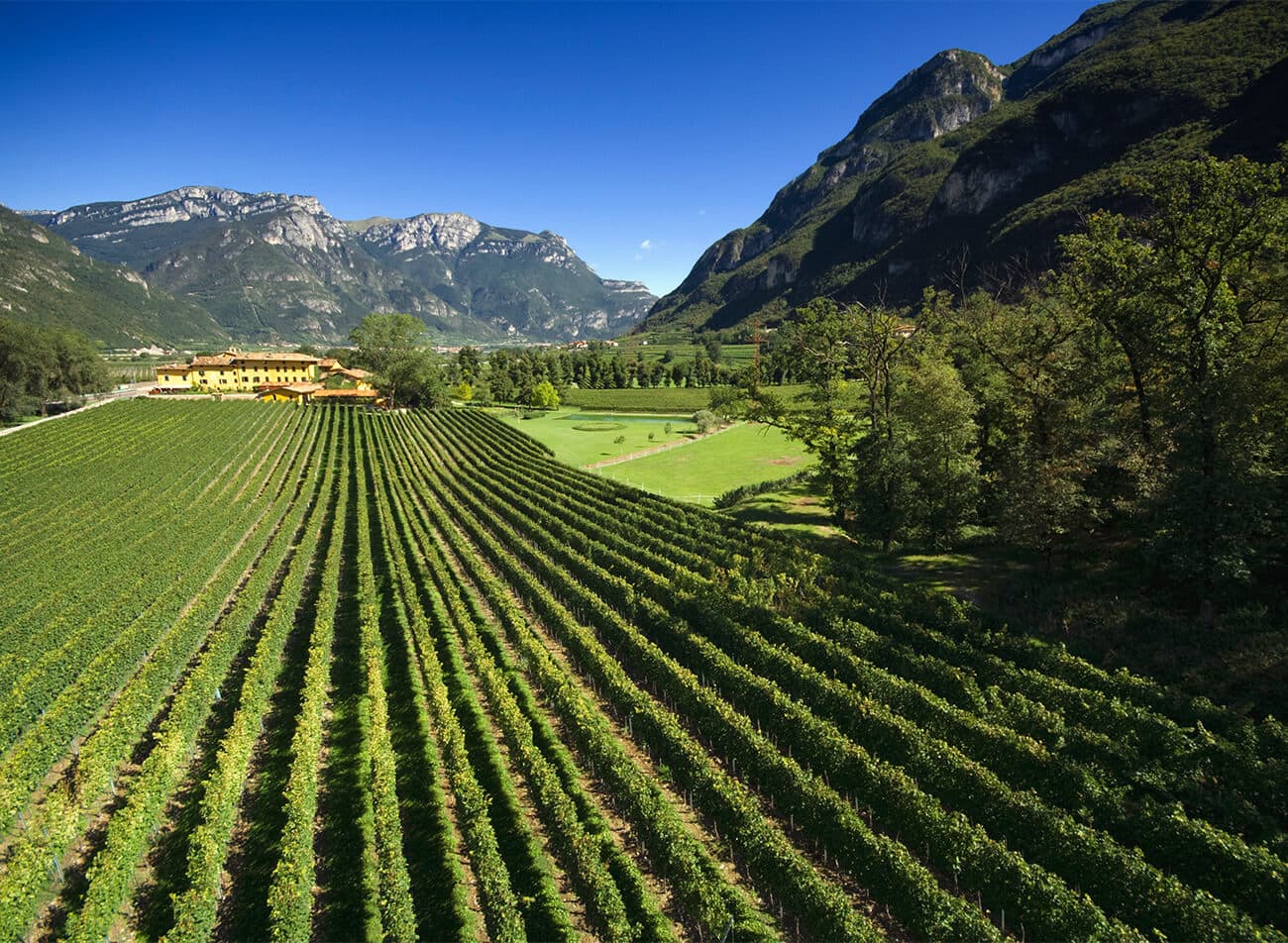 Tenuta San Leonardo