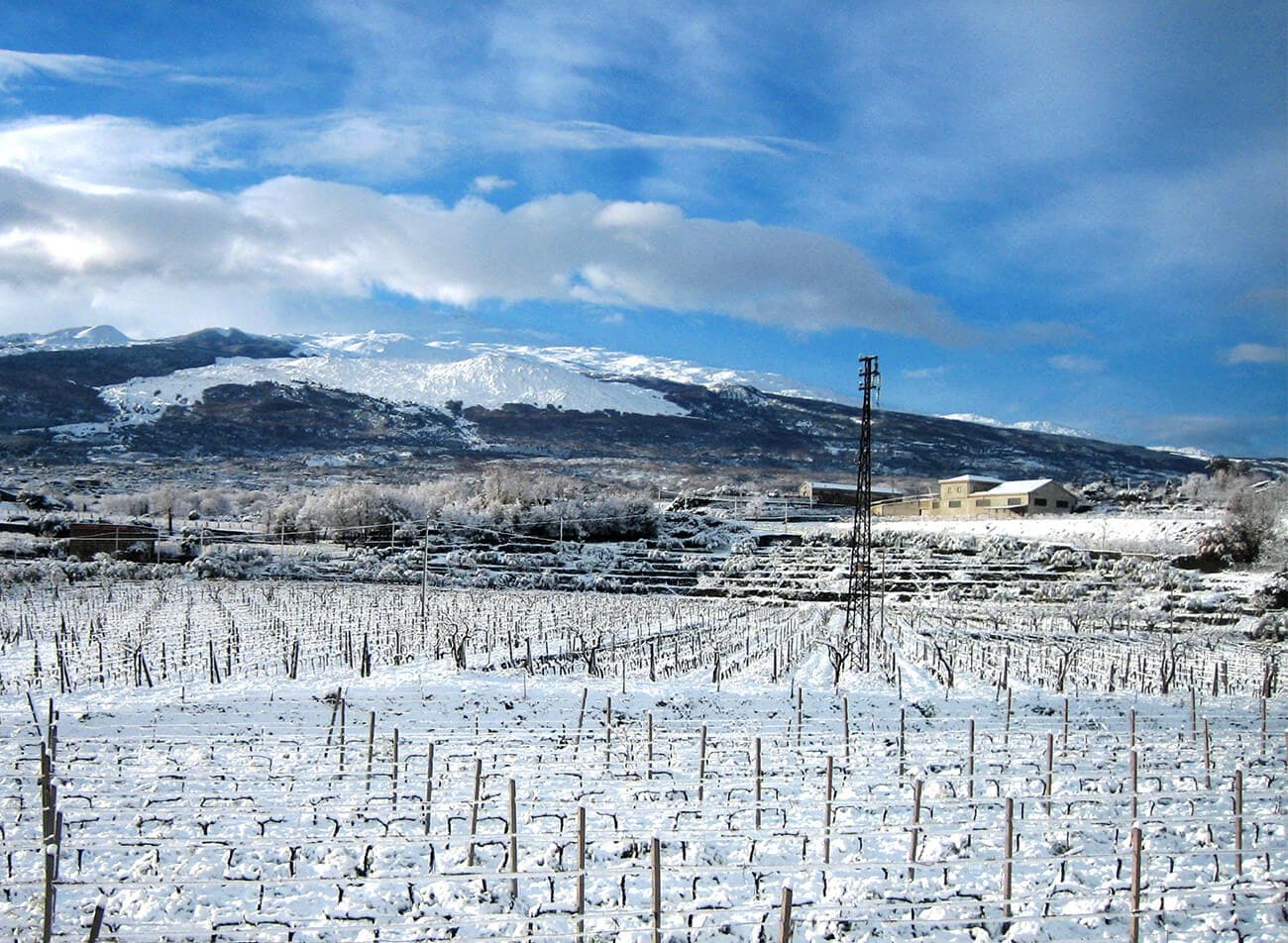 Tenuta delle Terre Nere