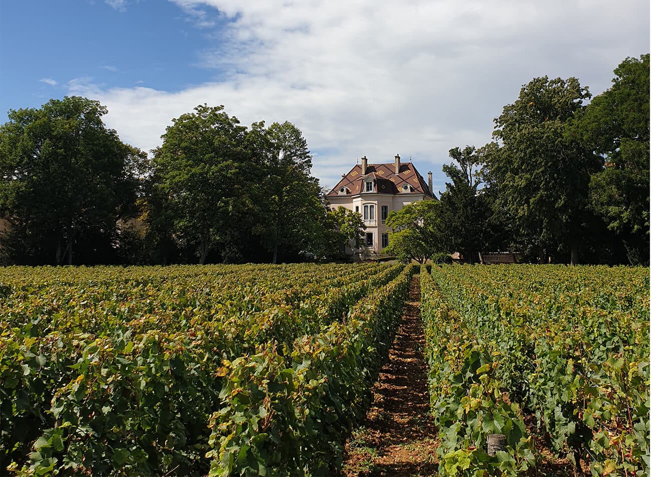 Domaine des Comtes Lafon
