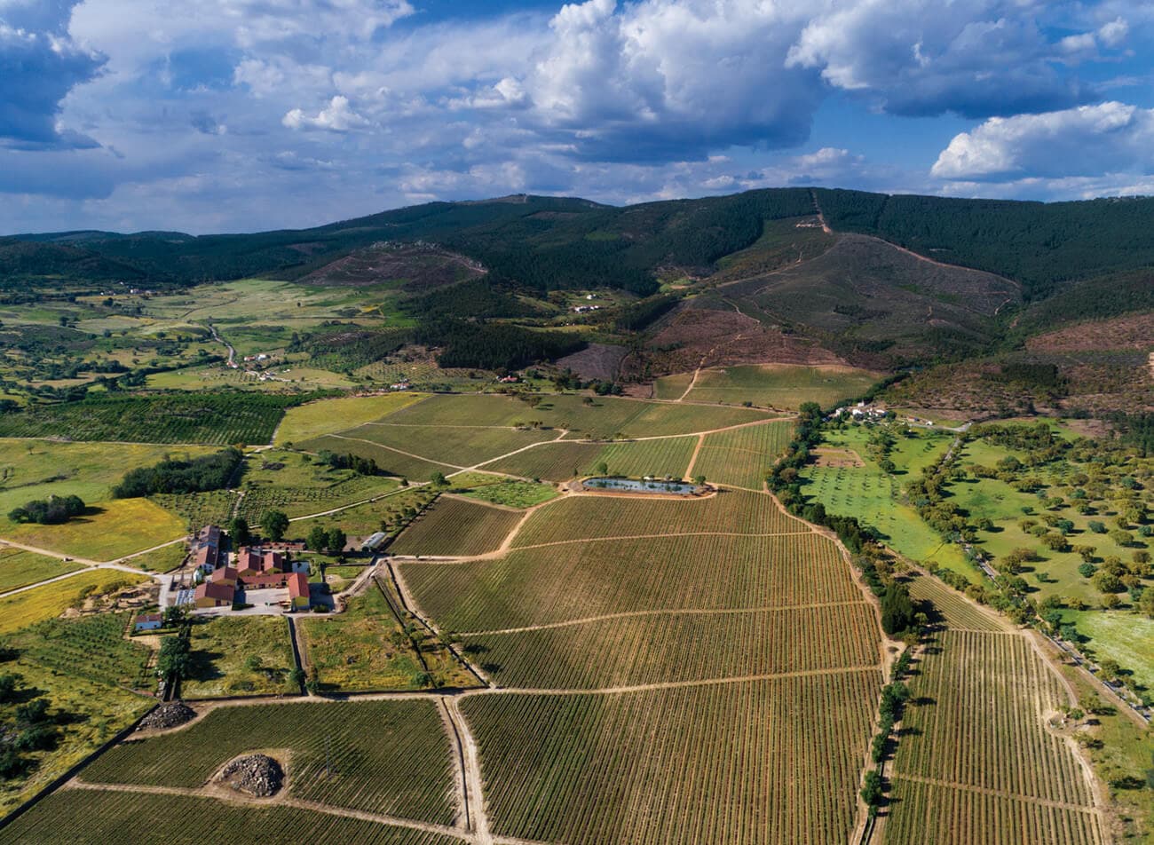 Quinta da Fonte Souto (Symington)