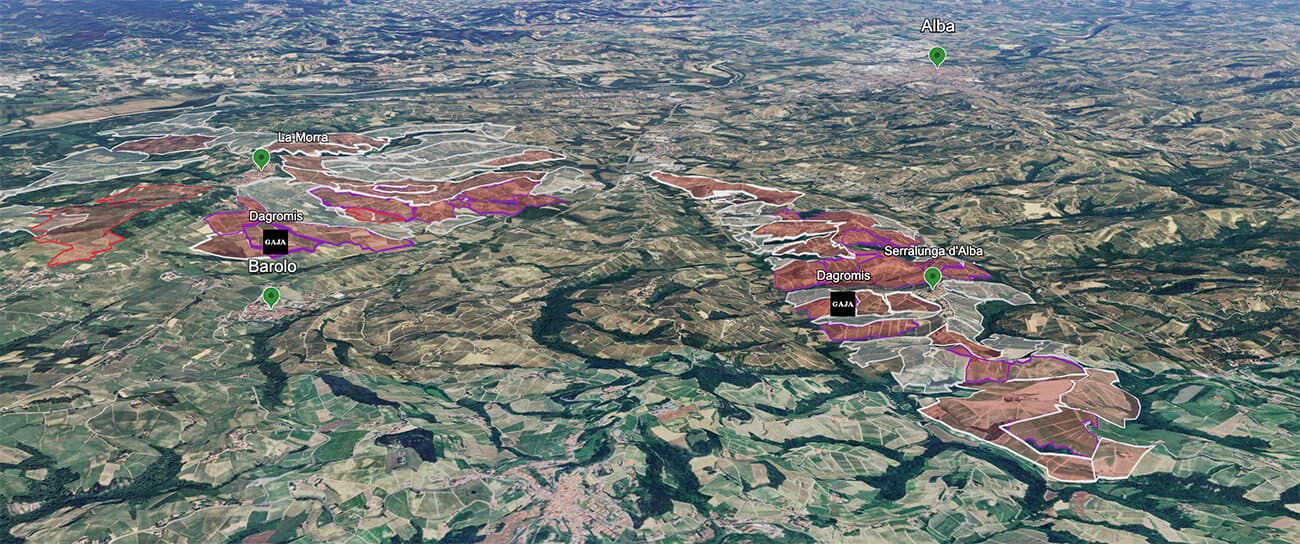 Mapa do terroir - Gaja Barolo Dagromis 2019