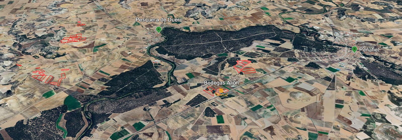 Mapa do terroir - Alión 2020