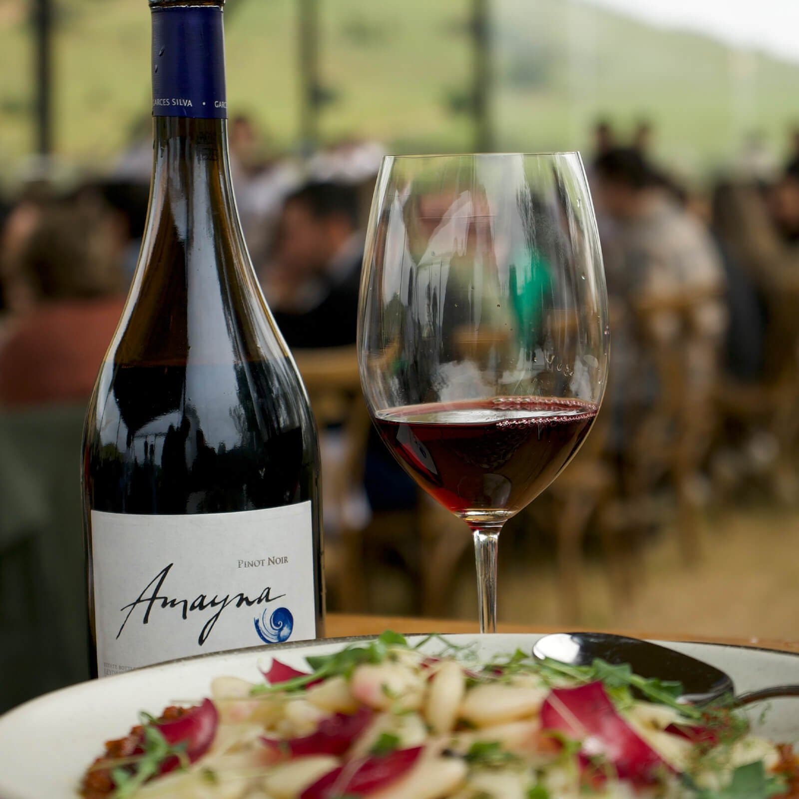Amayna Pinot Noir 2022