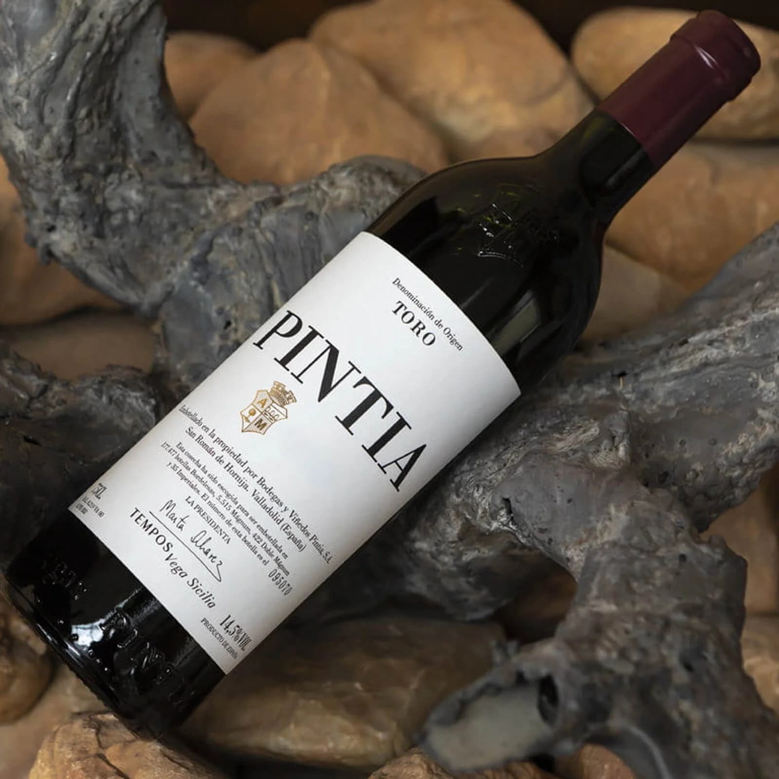 Pintia 2019
