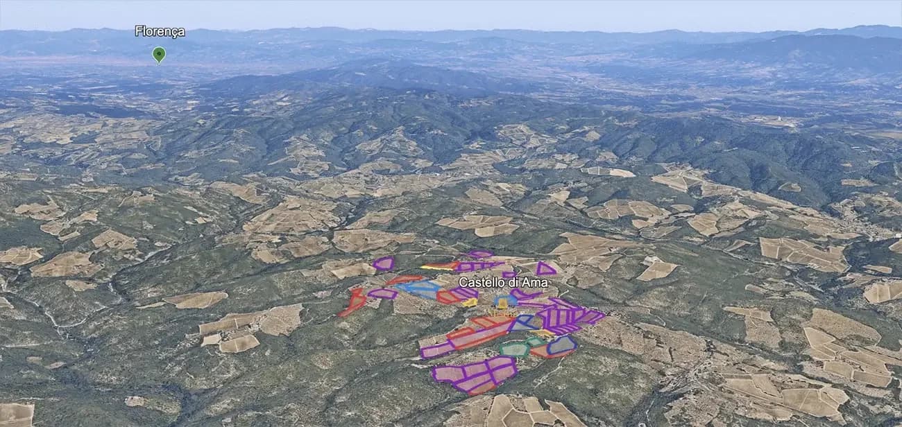 Mapa do terroir - Vigneto La Casuccia 2020