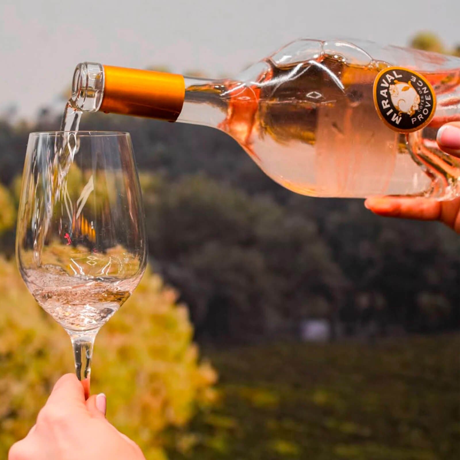 Côtes de Provence Rosé 2024