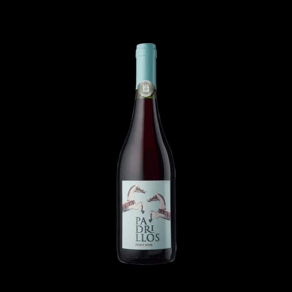 Padrillos Pinot Noir 2023 (Tikal - Ernesto Catena)