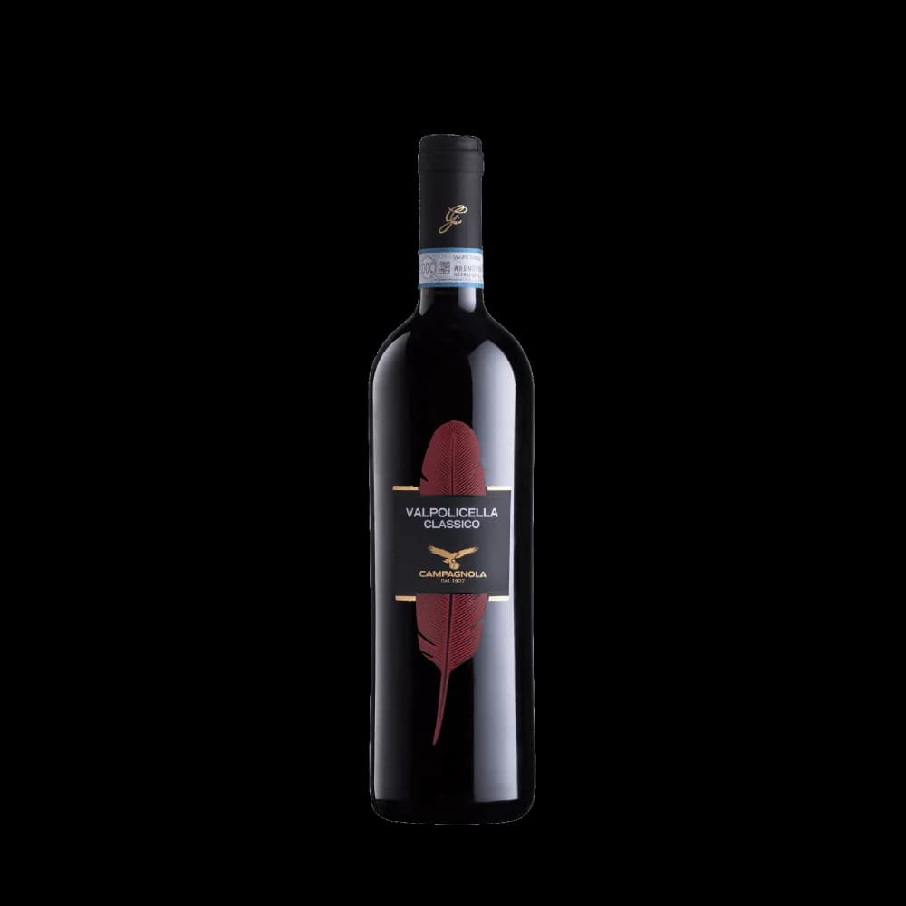 Valpolicella Classico 2024 (Campagnola)