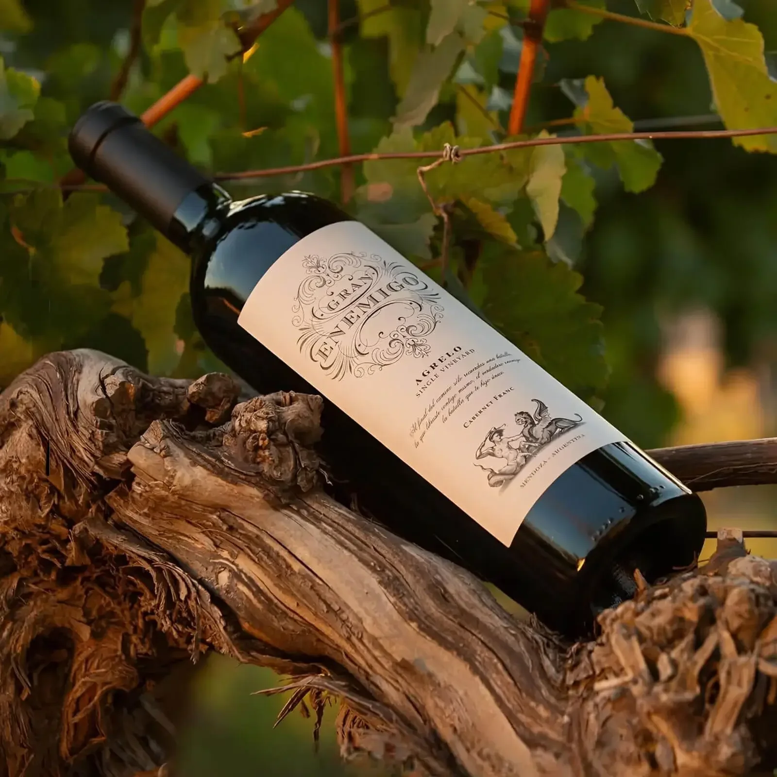 Gran Enemigo Agrelo Cabernet Franc 2021