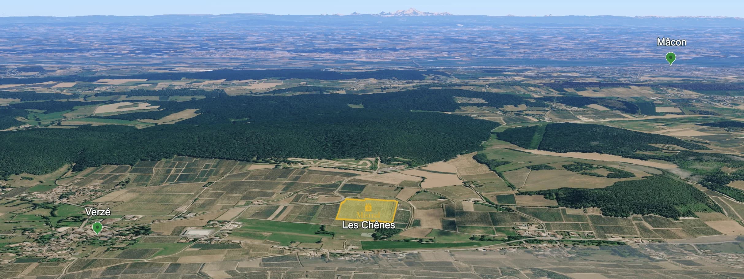 Mapa do terroir - Domaines Leflaive Mâcon-Verzé Les Chênes 2024