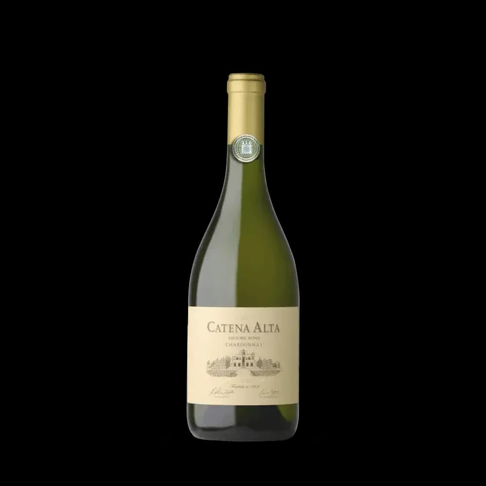 Catena Alta Chardonnay 2024 (Catena Bodega y Viñedos)