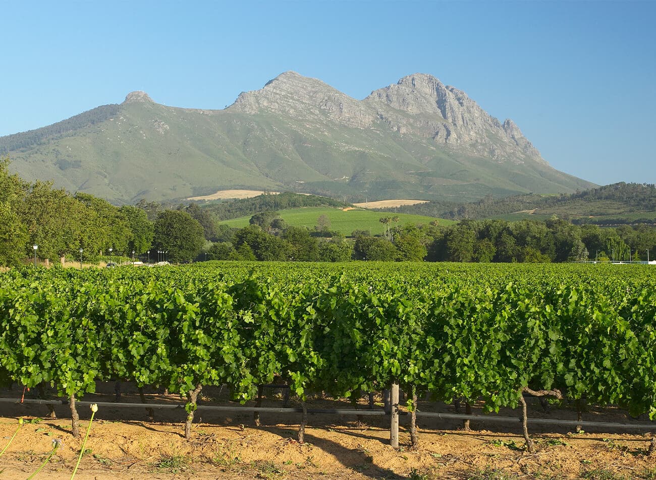 Stellenbosch