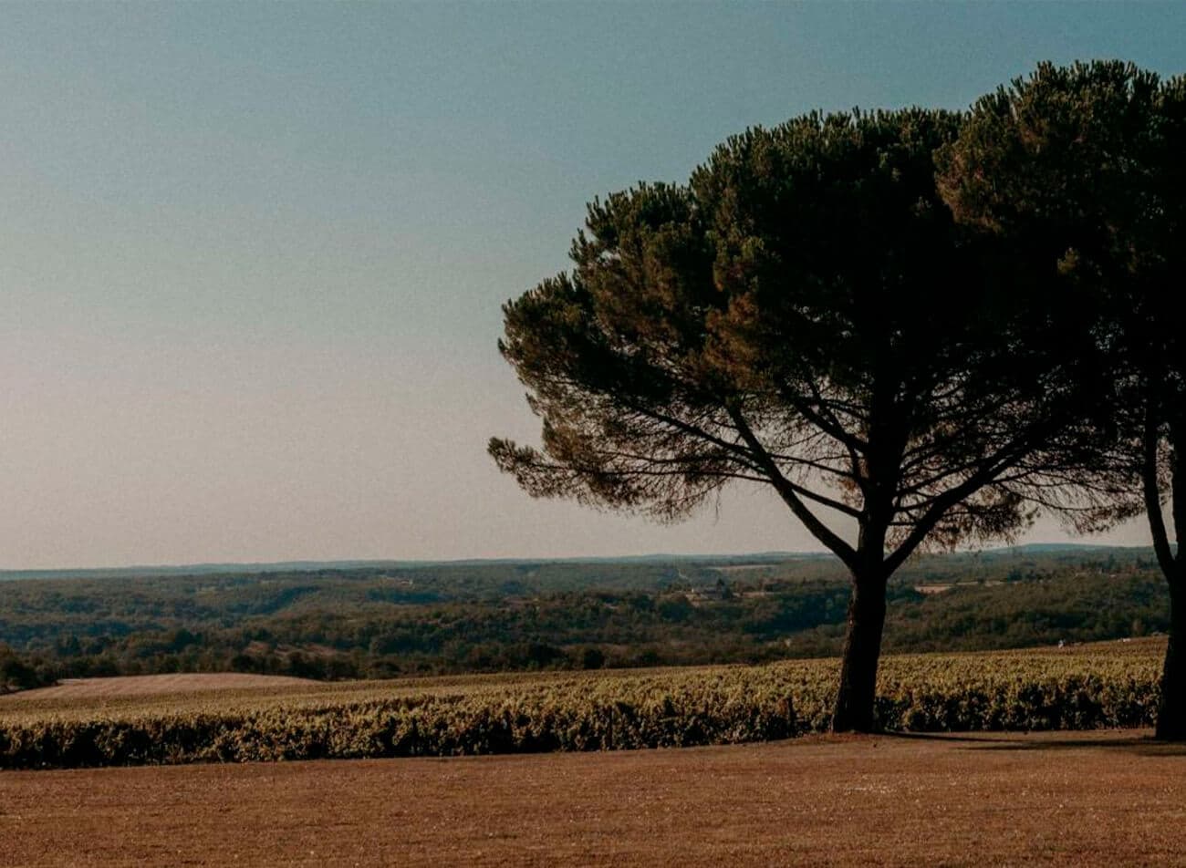 Sudoeste