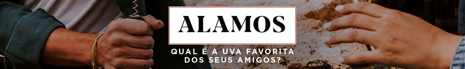 Dia do Amigo - Alamos