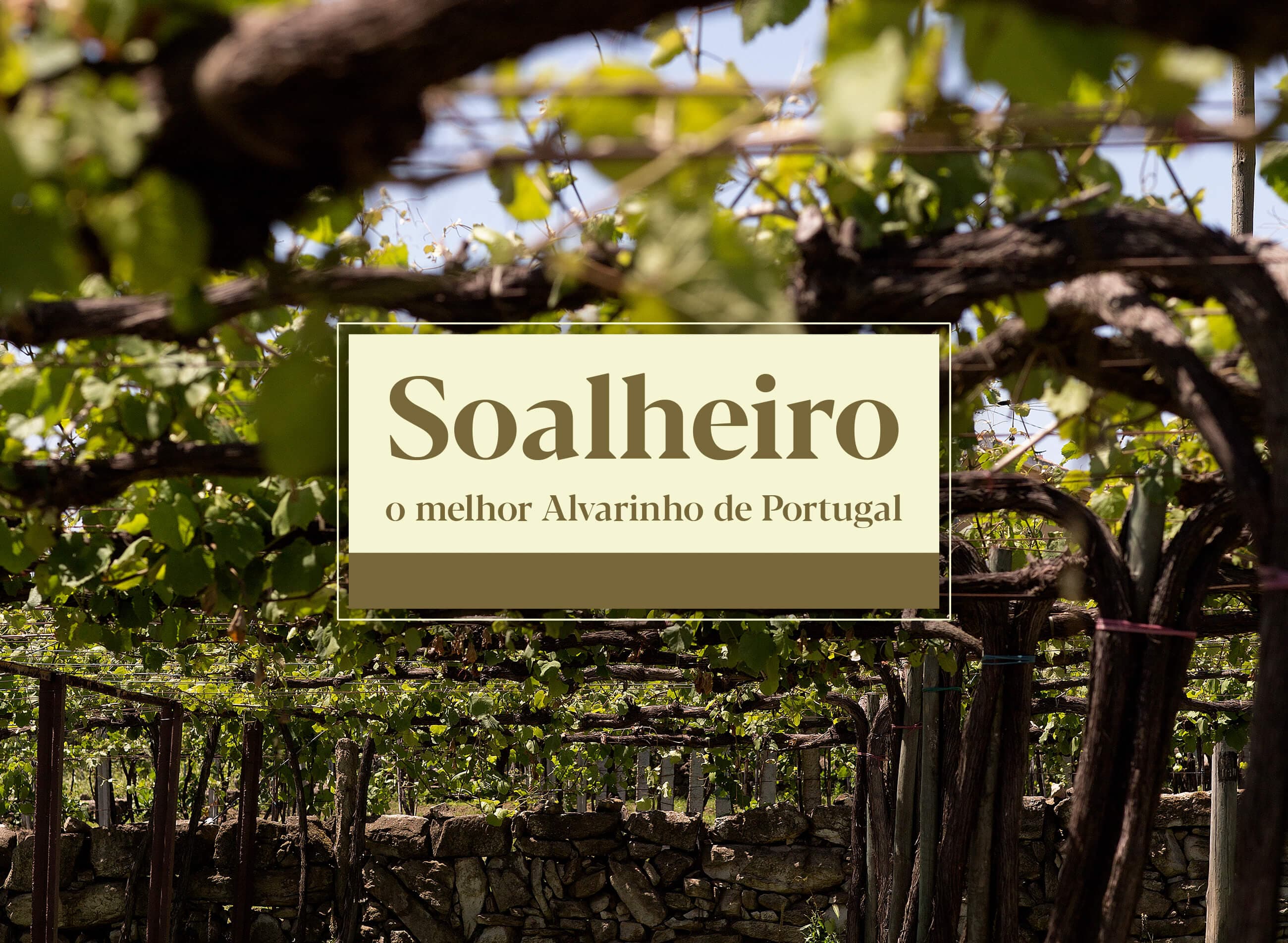 Soalheiro