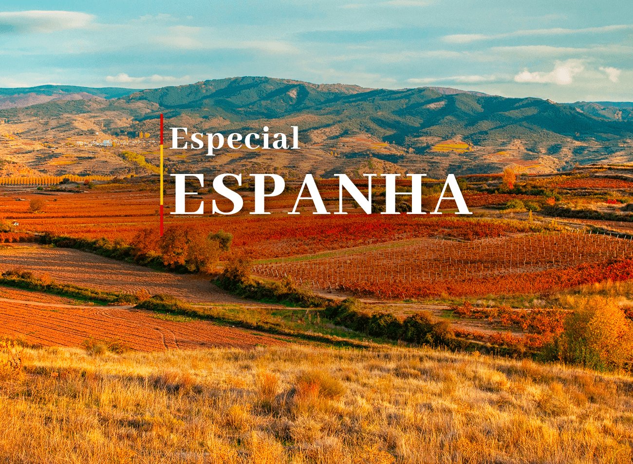 Banner Seleção Espanha - Vinhedos espanhóis