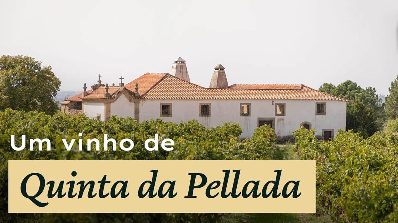 Quinta da Pellada - Thumbnail