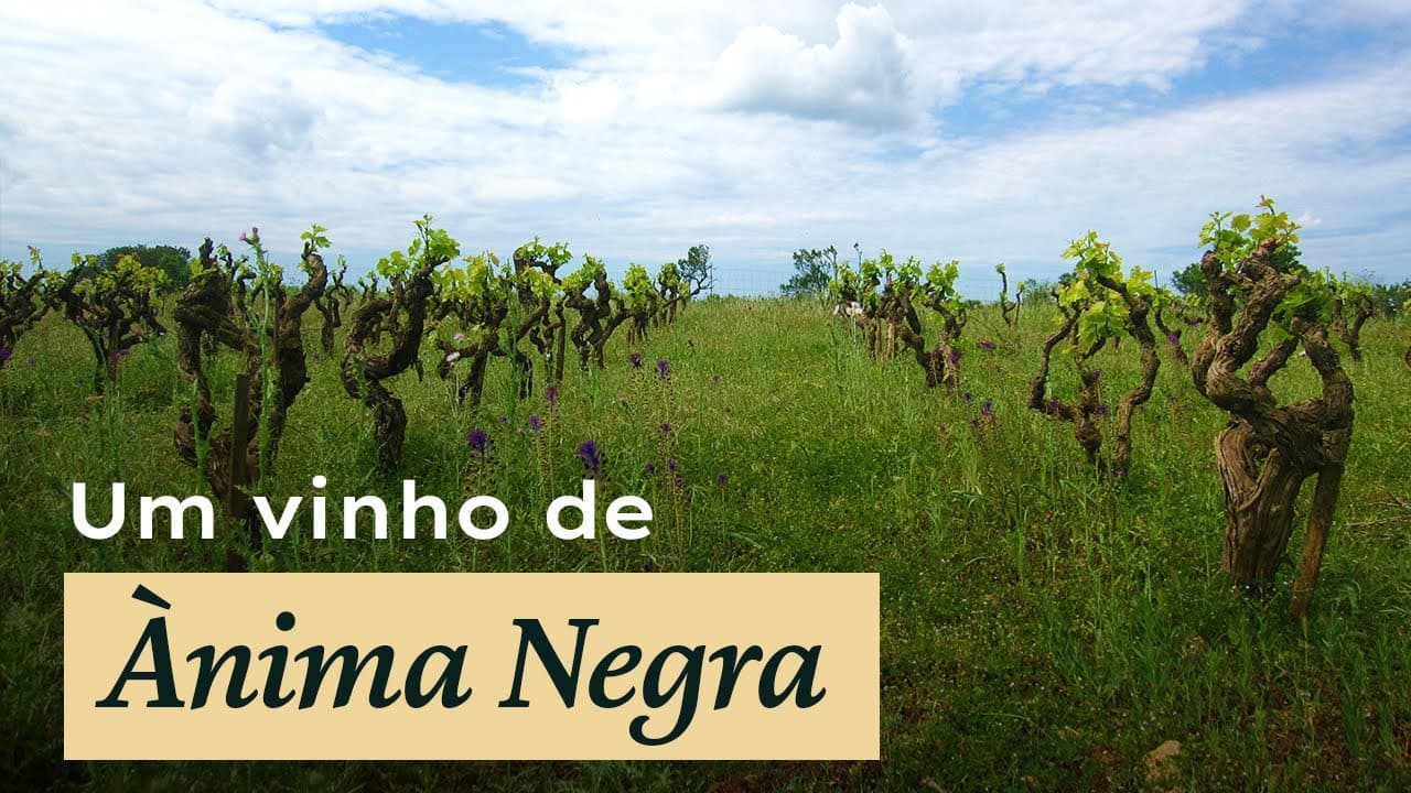 Ànima Negra - Thumbnail