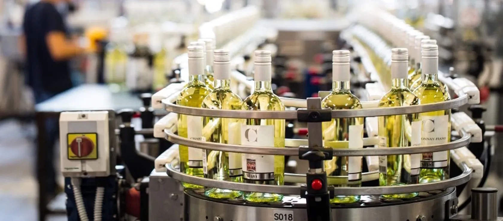 Epicuro elabora alguns dos mais saborosos vinhos da Puglia