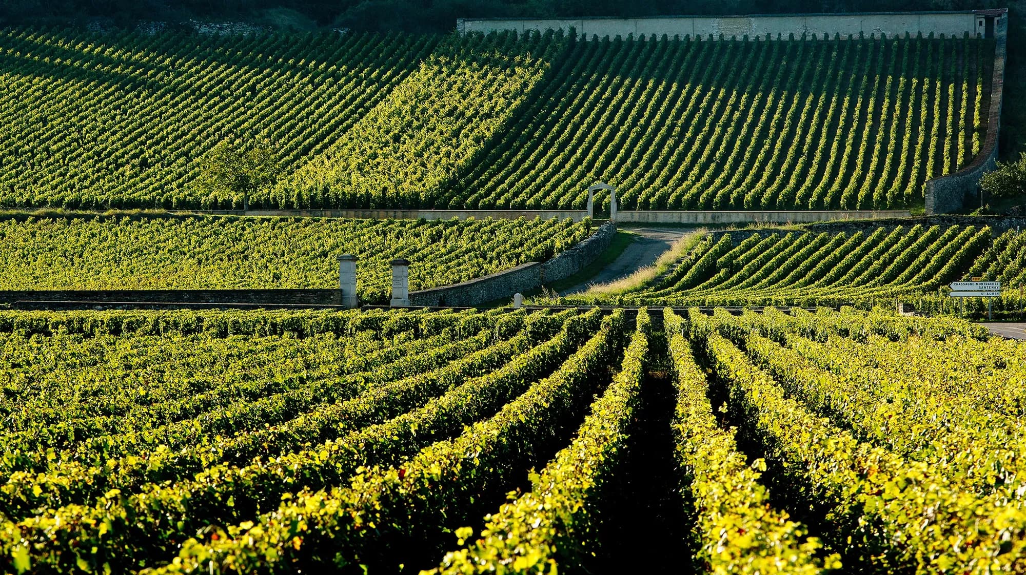 O maior número de domaines no Guia Michelin Bourgogne
