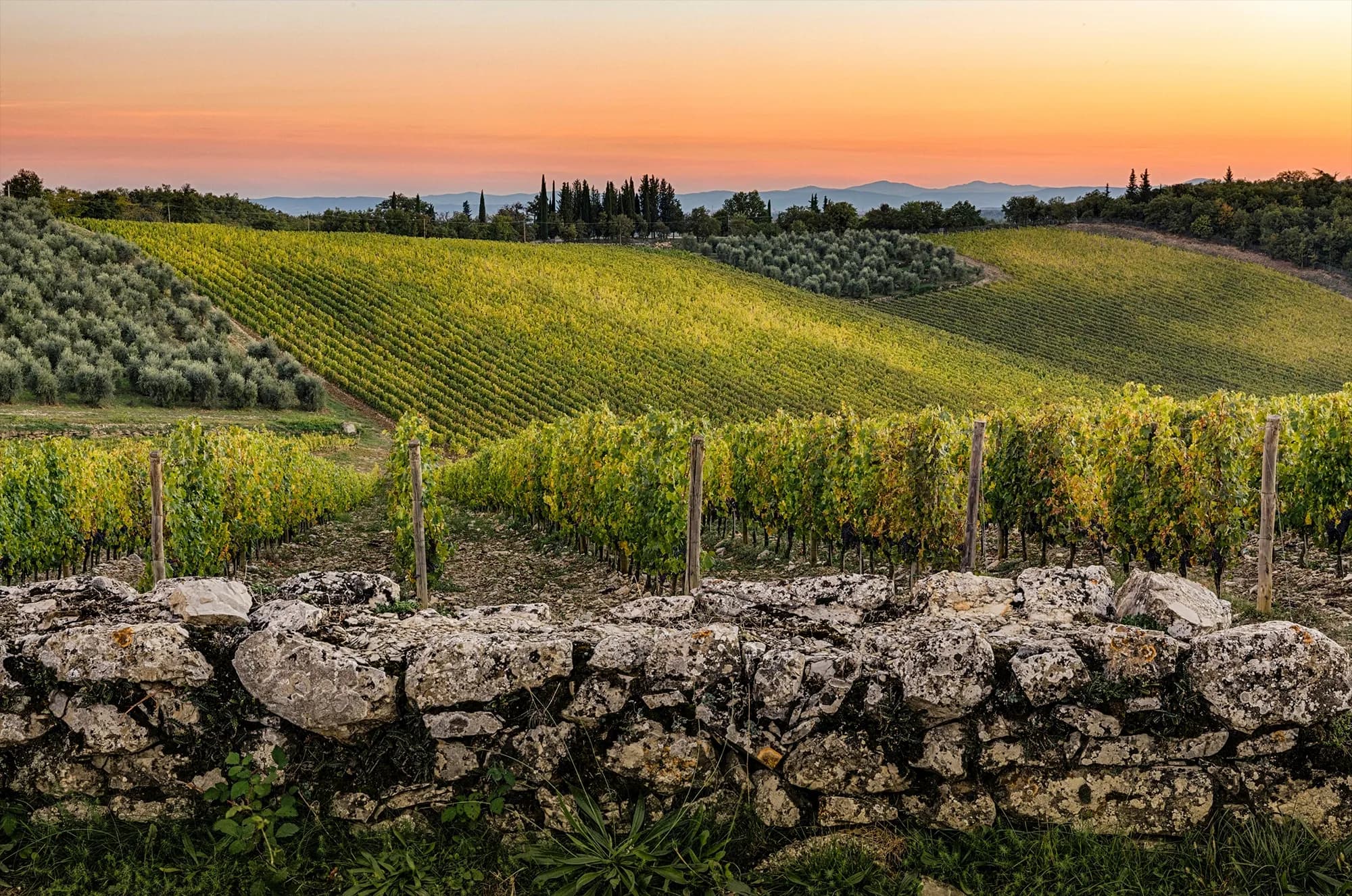 Top 100 Wine & Spirits: as melhores vinícolas do mundo