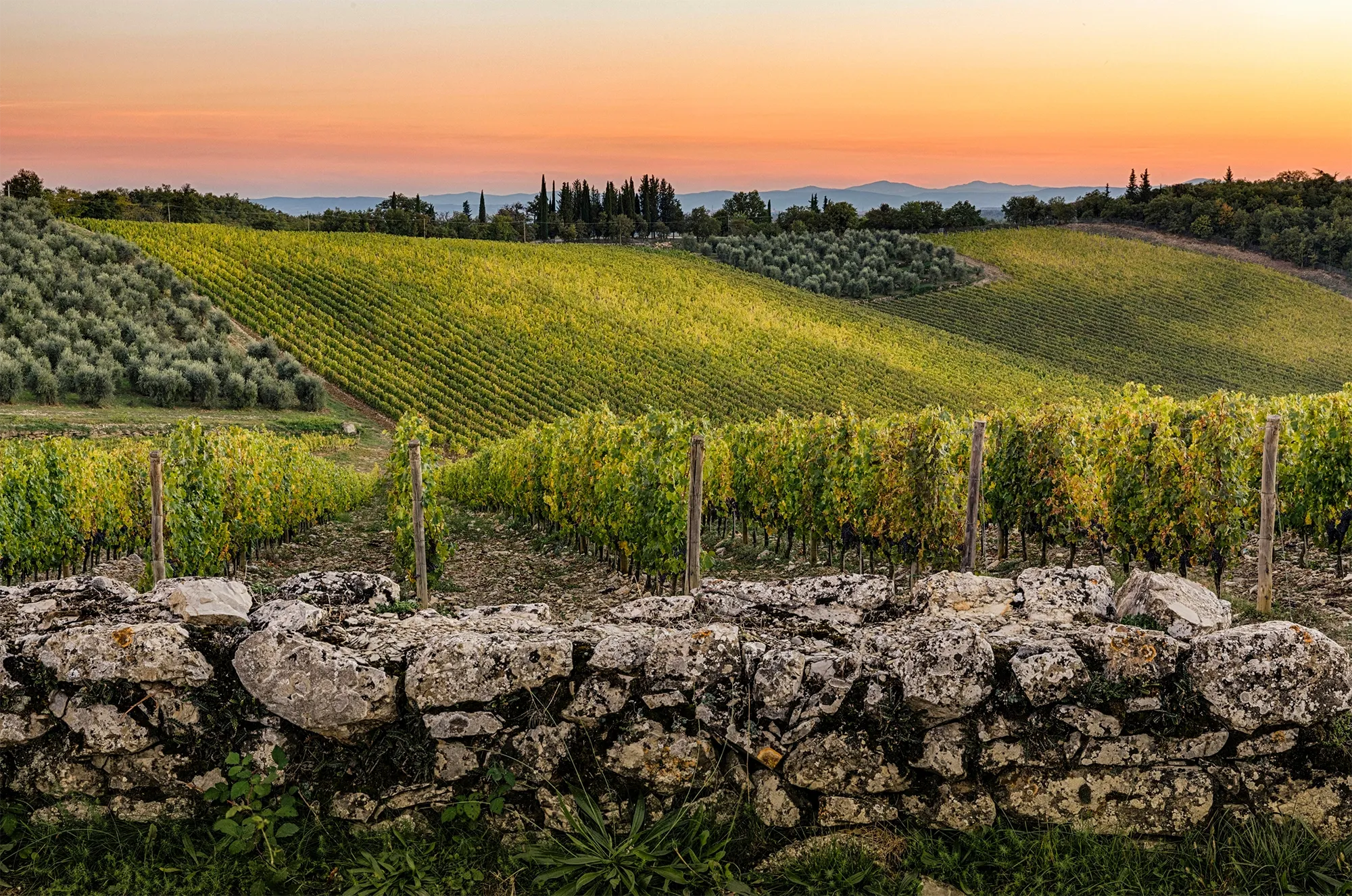 Top 100 Wine & Spirits: as melhores vinícolas do mundo