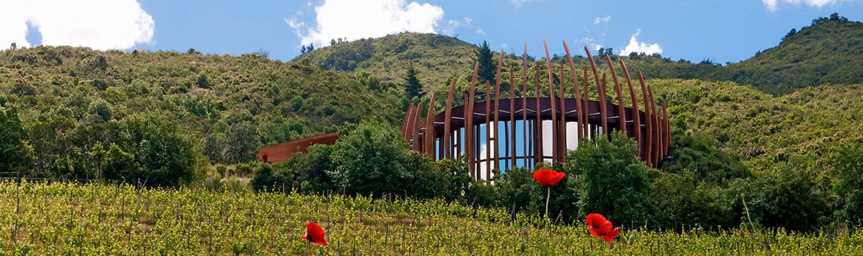 Lapostolle: o cultuado produtor dos mais “franceses” vinhos do Chile