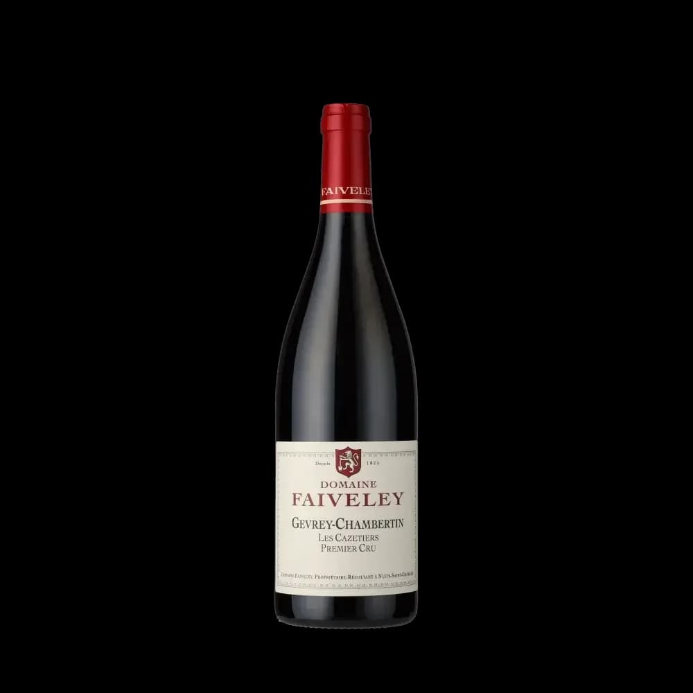 Gevrey-Chambertin 1er Cru Les Cazetiers 2023 - Mistral Gevrey-Chambertin 1er Cru Les Cazetiers 2023 - Mistral