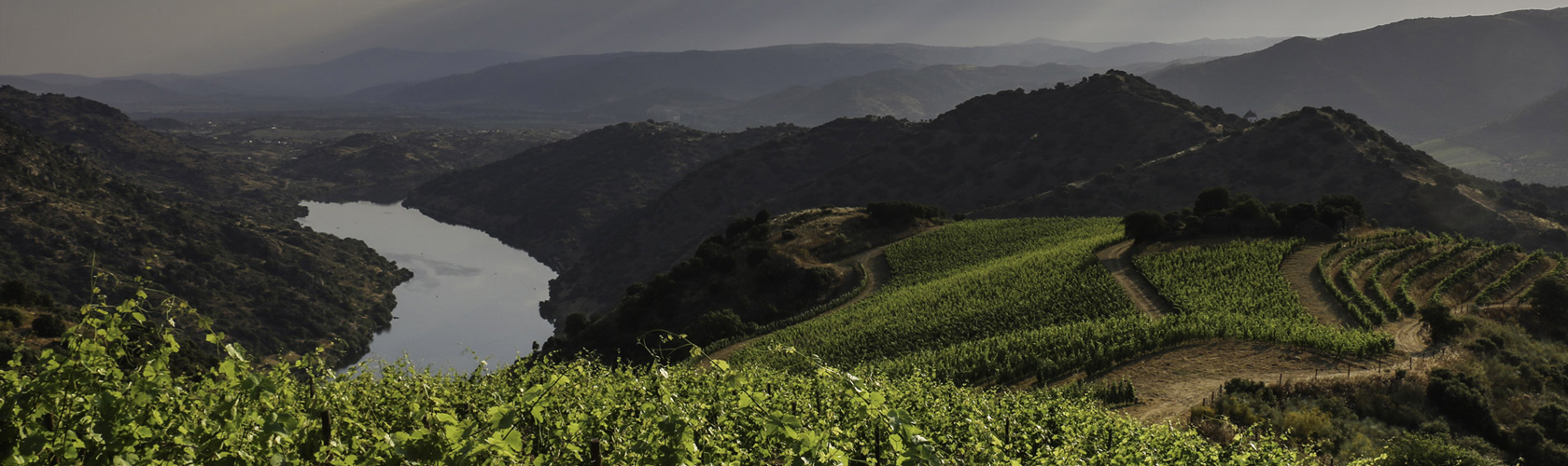 Quinta do Vale Meão: o melhor vinho de Portugal