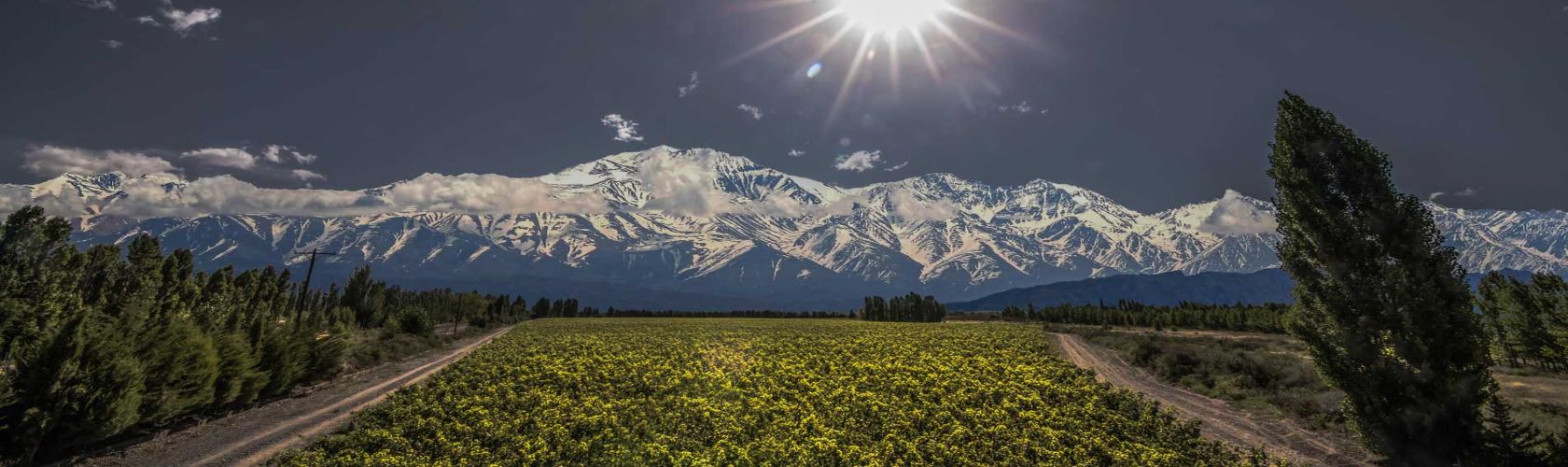 Vinhedo Adrianna: descubra os vinhos “Grand Cru” da Argentina