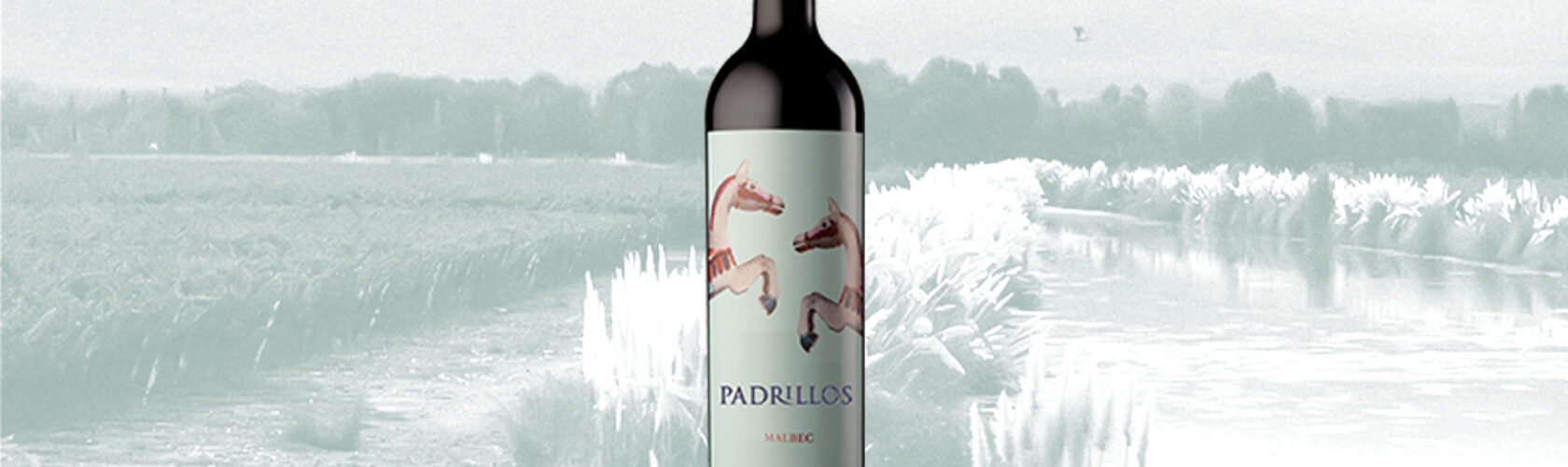 Padrillos Malbec é considerado um “Best Value” pela Wine Spectator