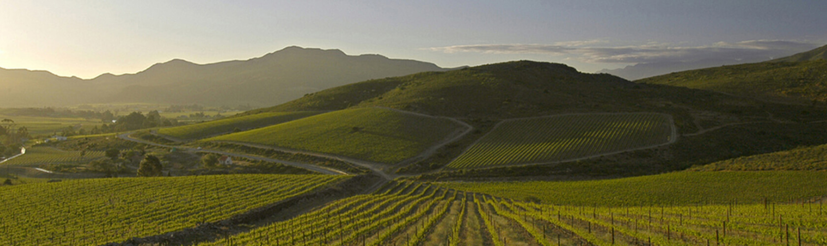 Vinho Lesca, de De Wetshof tem o melhor preço para a Wine Spectator