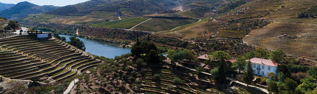 Vinho do Porto