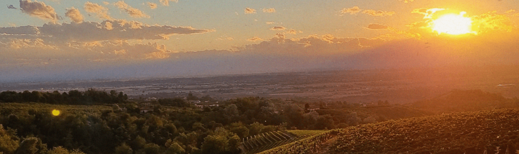 Dosio, vinhos piemonteses de ótima tipicidade e fáceis de gostar!