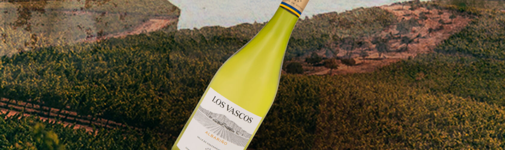 Los Vascos Albariño: um grande lançamento