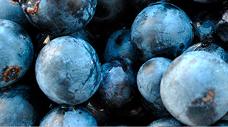 Uva Pinot Noir