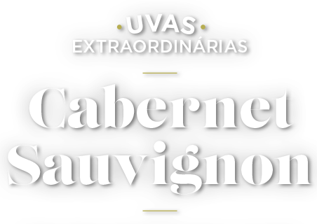 Cabernet Sauvignon